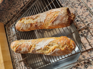 Kundenfoto Baguettemehl T
