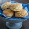 Tartelettes Ausstecher aus Polyglass - gerade 3/4