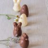 Schachtel mit gemischten Pralinen von Valrhona "Ostertiere" 62,5g 5/8