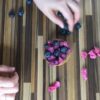 Online-Backkurs Tartes & Tartelettes 9/12
