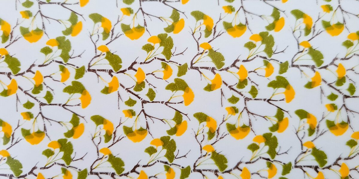 Ginkgo