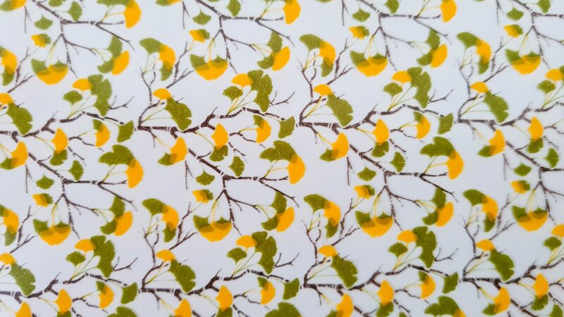 Transfert Folie Valrhona Ginkgo