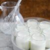 Joghurtkulturen für selbstgemachten griechischen Joghurt 4/4