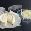 Camembert Box