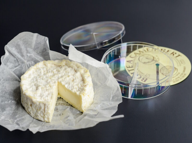 Camembert Box 800x597