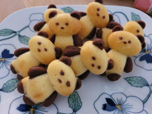 Kundenfoto TeddyBear SilikonBackform