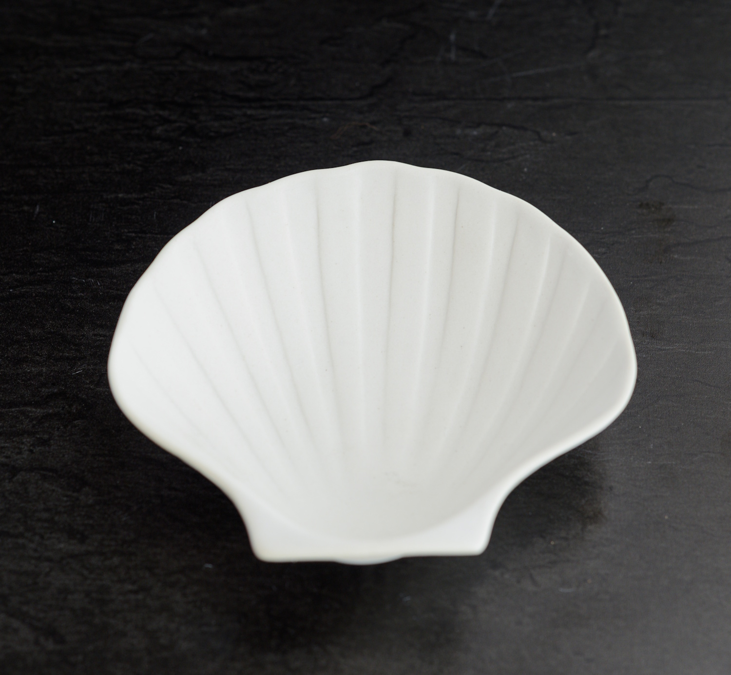 Jakobsmuschel Schale Aus Porzellan Matt Elegant Vorspeisen Gratins