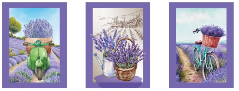 provence-sisteron-kuechentuch-3er-set