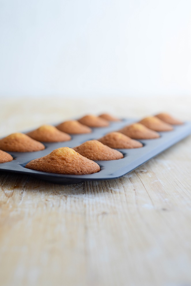  Madeleine Obsidian