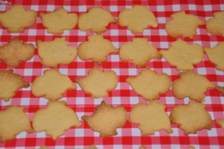 Petits sablés pour le calendrier de l'Avent (Plätzchen für den Adventskalender) DSC_4778 320x200