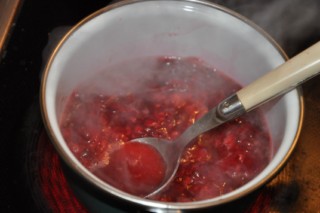 Entremets Citron-Framboises (kleine Zitronen-Himbeer-Torte) DSC_5922 320x200
