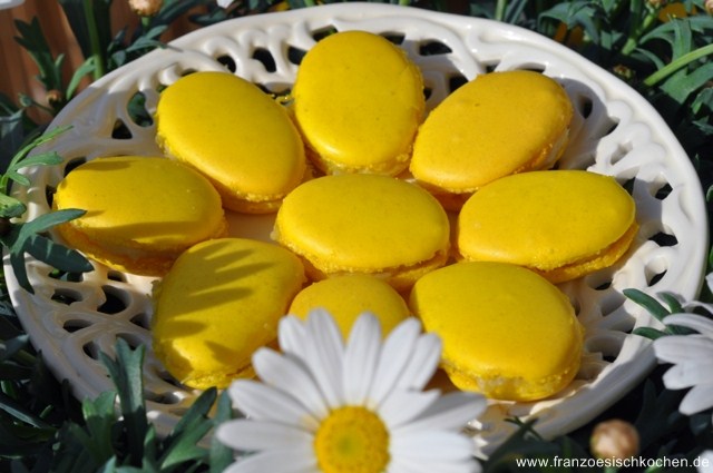  Macaron Eiformig Gelb Rhubarber