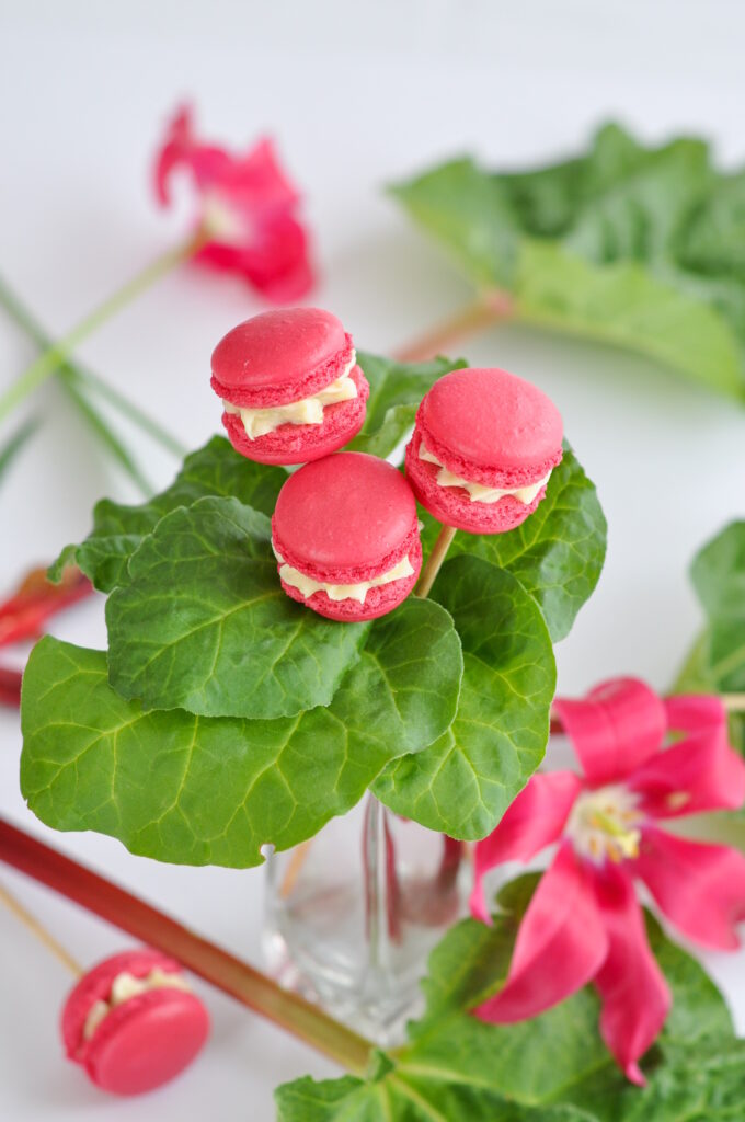 Rhabarber Macarons (Macarons à la rhubarbe) Rhabarber Macaron Einfach Rezept 680x1024