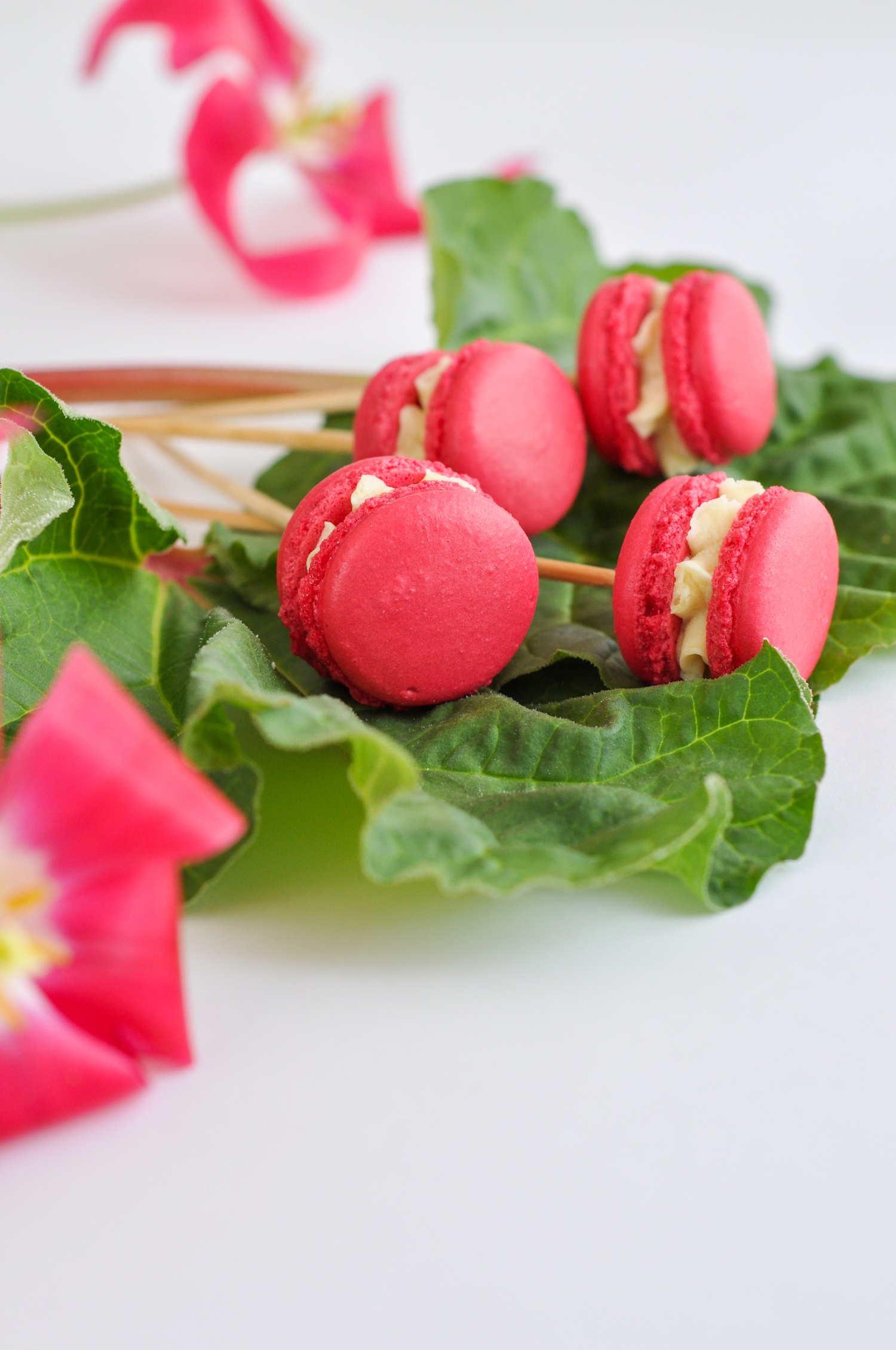  Rhabarber Macarons Ganz Einfach Backen