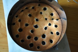 Entremet bleu aux myrtilles (Blaubeeren Torte) DSC_8774 320x200