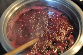 Entremet bleu aux myrtilles (Blaubeeren Torte) DSC_8777 320x200