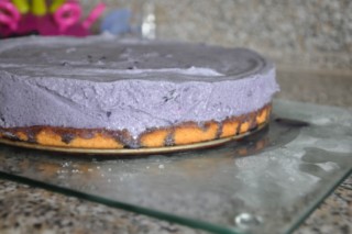 Entremet bleu aux myrtilles (Blaubeeren Torte) DSC_8799 320x200