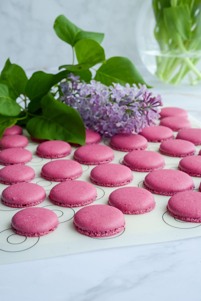  Macaron Mit Eiweisspulver Backen
