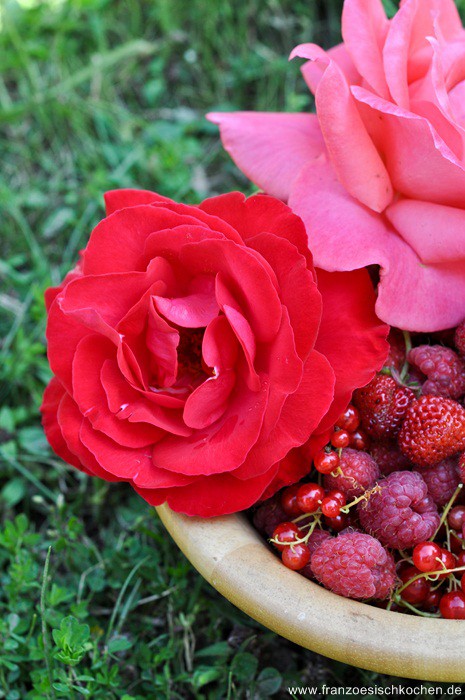 Confiture Fruits-Fleurs DSC_0576 1 Copier