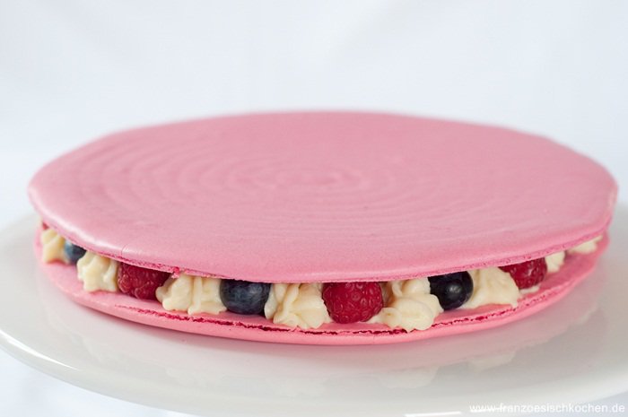 Gâteau Macaron DSC_4273 5 Copier