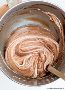 Glutenfreier Schokokuchen DSC_9753 1 Copier 218x300