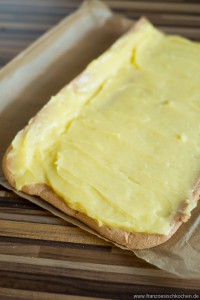Bûche de Noël "Tarte au citron" DSC_6059 1 Kopie 200x300