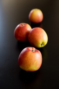 Croustade aux pommes DSC_0606 1 Kopie 200x300