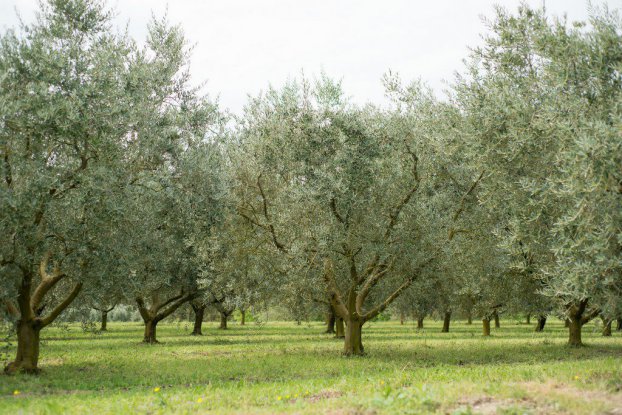 Escapade en Provence Escapade en Provence