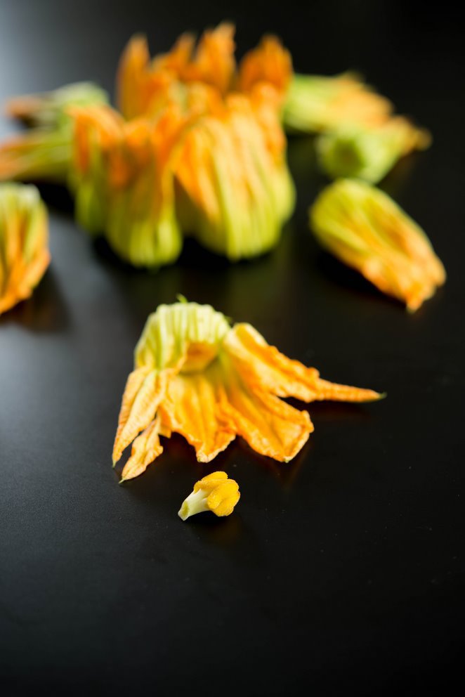 Gefüllte Zucchiniblüten (Fleurs de courgettes farcies) DSC_4788-Kopie