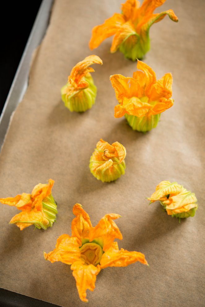 Gefüllte Zucchiniblüten (Fleurs de courgettes farcies) DSC_4815 Kopie