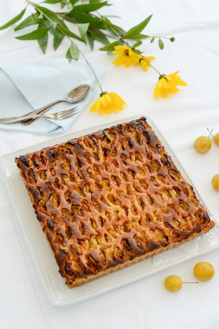 Mirabellen Tarte aus Lothringen ( Tarte à la Mirabelle de Lorraine ) DSC_6770 1 Kopie