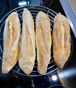 Leserfoto von Lothar