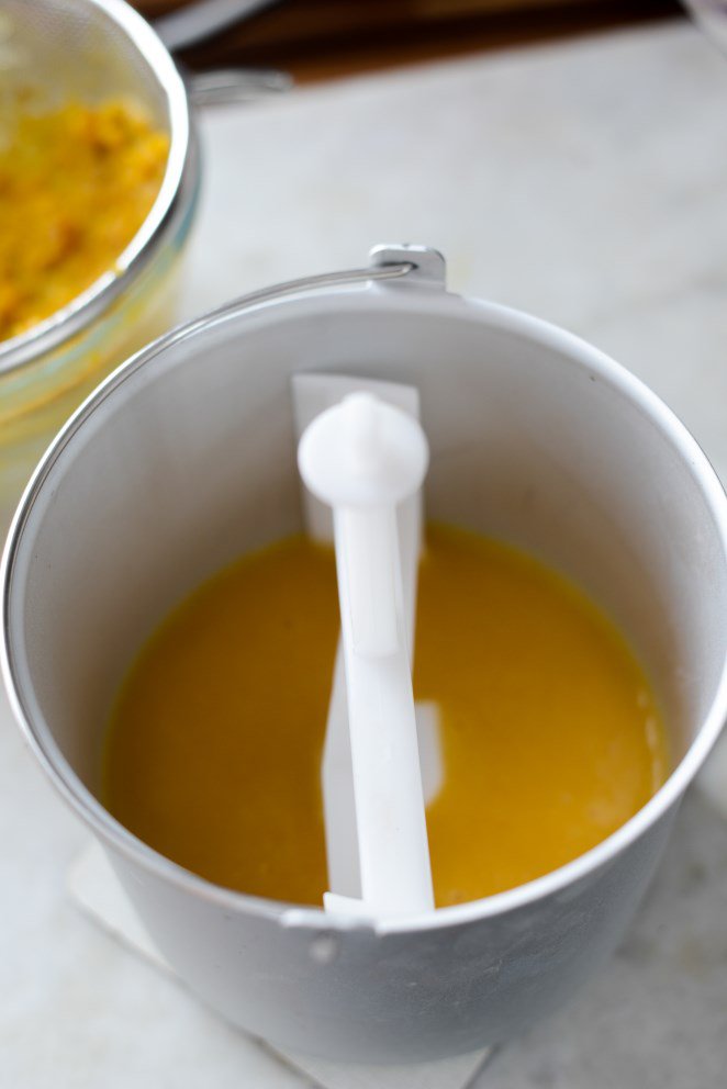 Trou Lorrain - Mirabellen Sorbet mit Mirabellenschnaps! Mirabellen Sorbet Schritt 9 Mirabellensaft Im Mixer