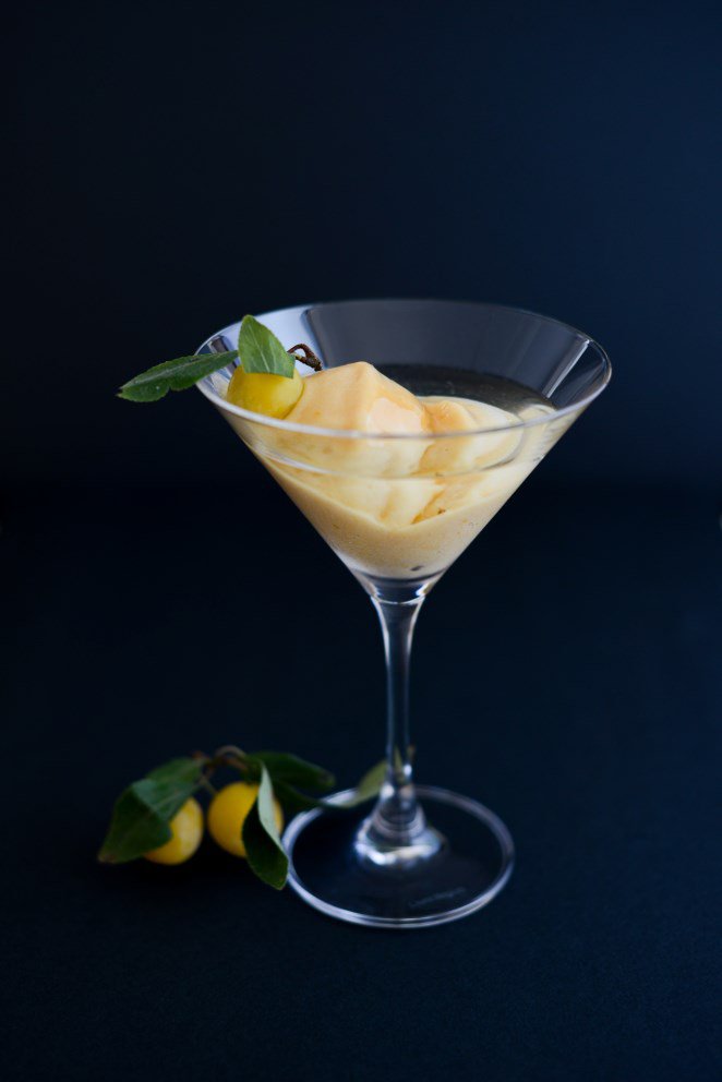 Trou Lorrain - Mirabellen Sorbet mit Mirabellenschnaps! Mirabellen Sorbet Trou Lorrain