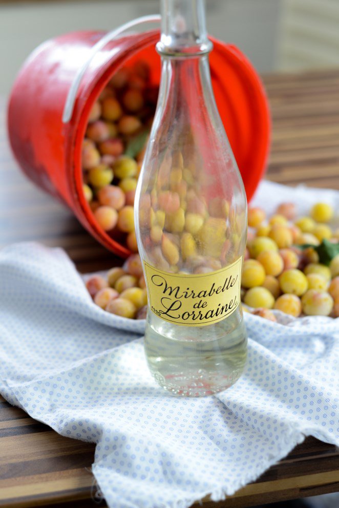 Trou Lorrain - Mirabellen Sorbet mit Mirabellenschnaps! Trou Lorrain Schritt 3 Mirabellenschnaps Flasche Mit Mirabellen