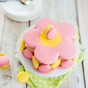 Macaron Blume zum Frühlingsanfang