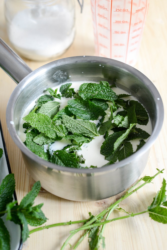 Schoko-Minz-Eis (Glace menthe-chocolat) Rezept