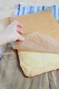  Kastanien Und Saürkirschen Buche Torte 5