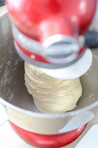 Brioche auf Vorrat backen, einfrieren und auftauen lassen DSC_8869 1 200x300