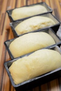 Brioche auf Vorrat backen, einfrieren und auftauen lassen DSC_8885 1 200x300