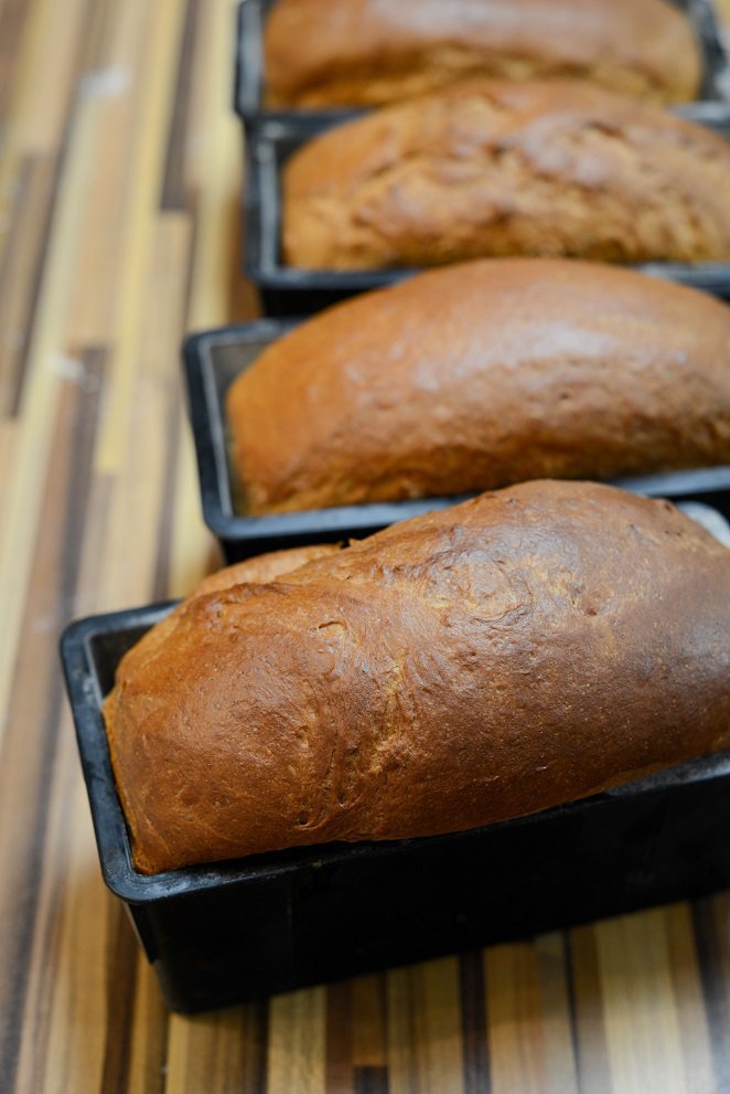 Brioche auf Vorrat backen, einfrieren und auftauen lassen DSC_8886 1