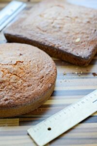 Erdbeer-Holunder-Herztorte zum Muttertag DSC_0539 1 200x300