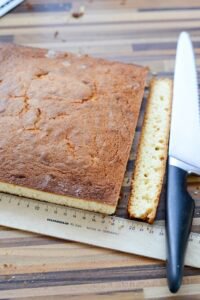 Erdbeer-Holunder-Herztorte zum Muttertag DSC_0548 1 200x300