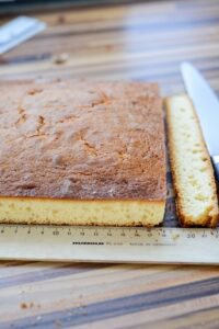 Erdbeer-Holunder-Herztorte zum Muttertag DSC_0550 1 200x300