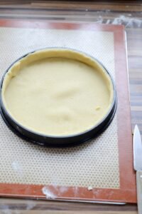 Aprikosen-Kokos-Tarte DSC_1852 1 200x300