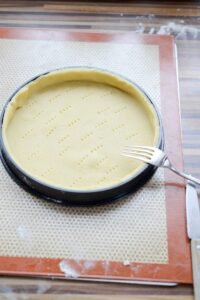 Aprikosen-Kokos-Tarte DSC_1853 1 200x300