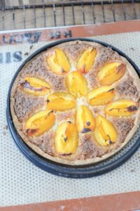 Aprikosen-Kokos-Tarte DSC_1907 1 200x300