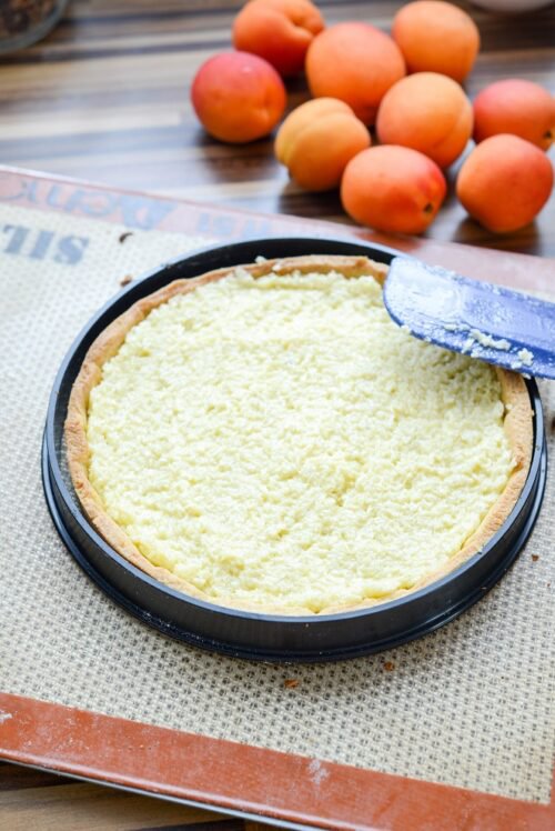 Aprikosen-Kokos-Tarte Rezept