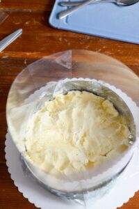 Vacherin Torte für die Feiertage DSC_6006 200x300