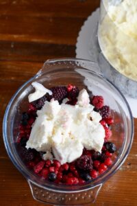 Vacherin Torte für die Feiertage DSC_6008 200x300